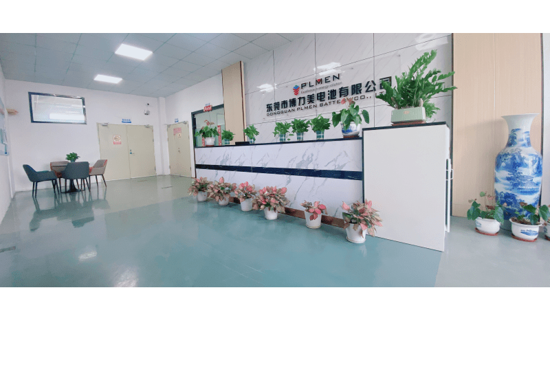 深圳市博力美電池有限公司